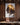 Lion of Judah canvas on the wall of a dark walnut-paneled home office