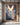 Epic canvas of the Return of Glory in a modern industrial loft with exposed brick and concrete floor